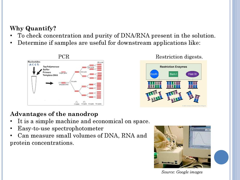 Spectrophotometry (Quantification Of Nucleic Acids) - Ppt Download