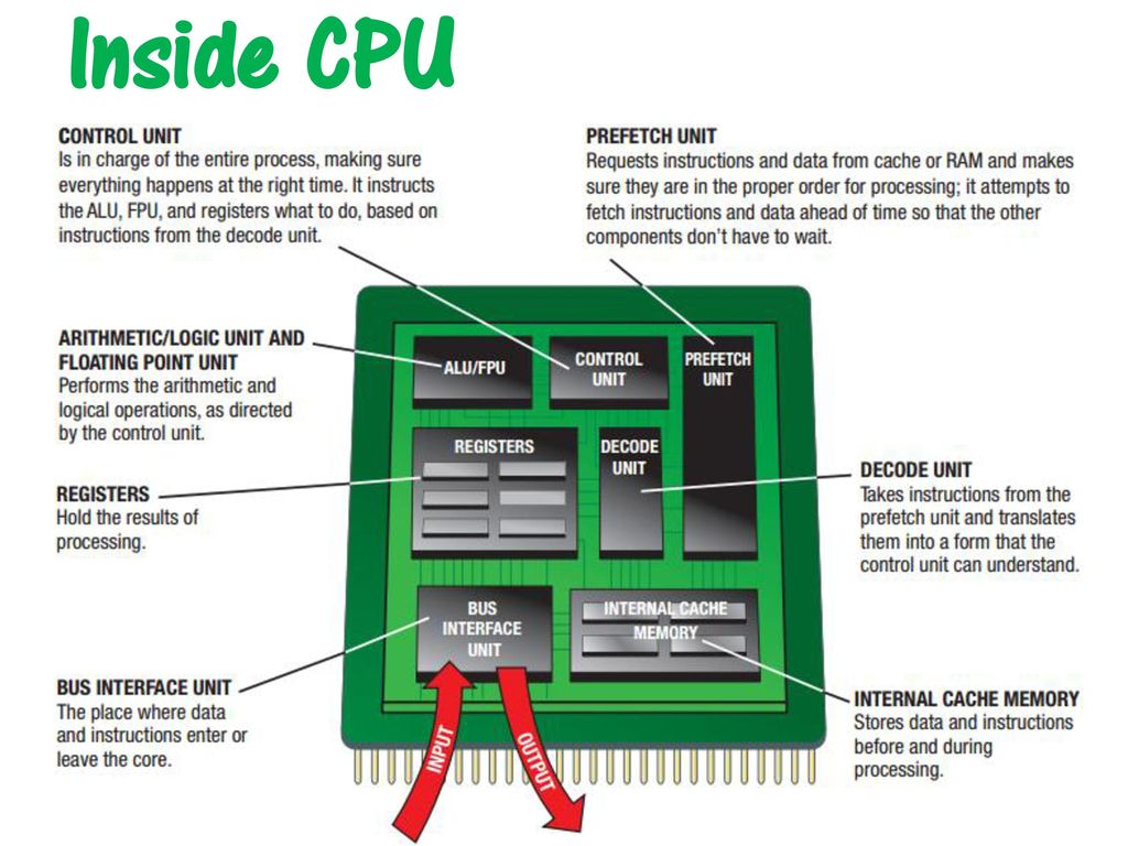 Operating system перевод. FPU блок процессора. Alu FPU AMD схема. Устройство FPU. What is CPU.