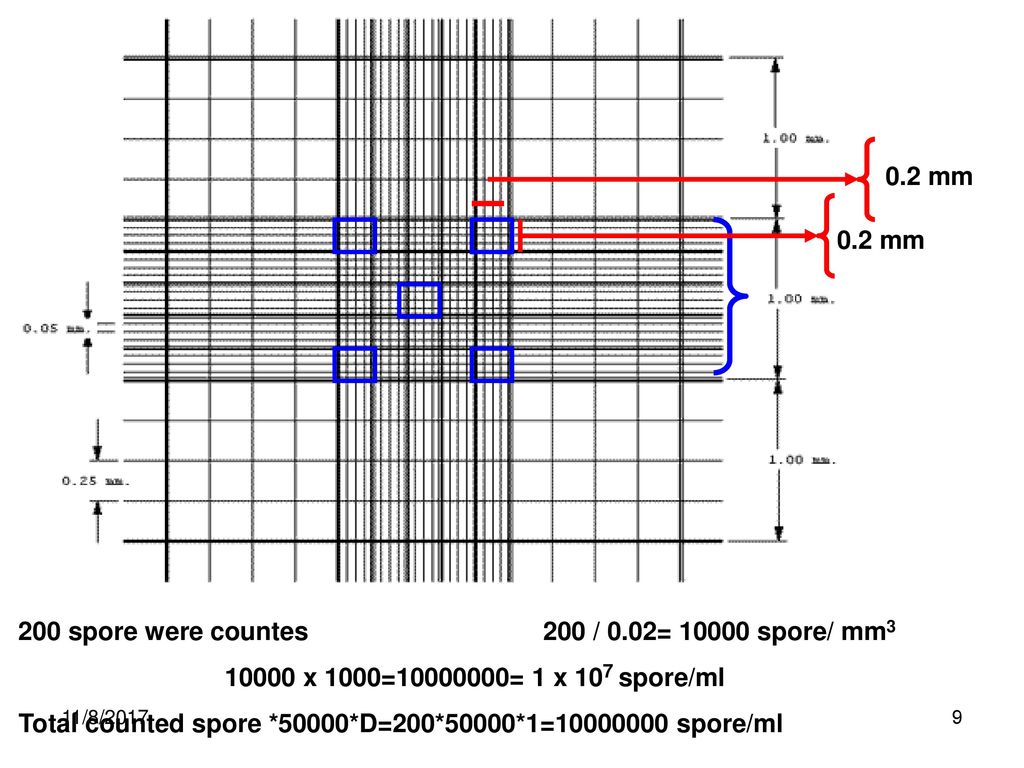 Manual cells counting with hemocytometer improved neubauer 53 off