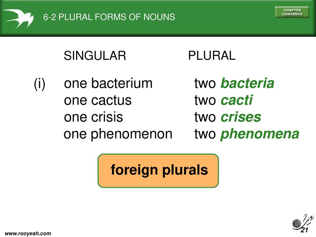 Pronunciation Of Final S Es Plural Forms Of Nouns Ppt Video