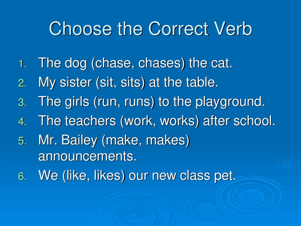 Correct verb. Choose the correct verb from. Chase verb. Sub verb Agreement Tense.
