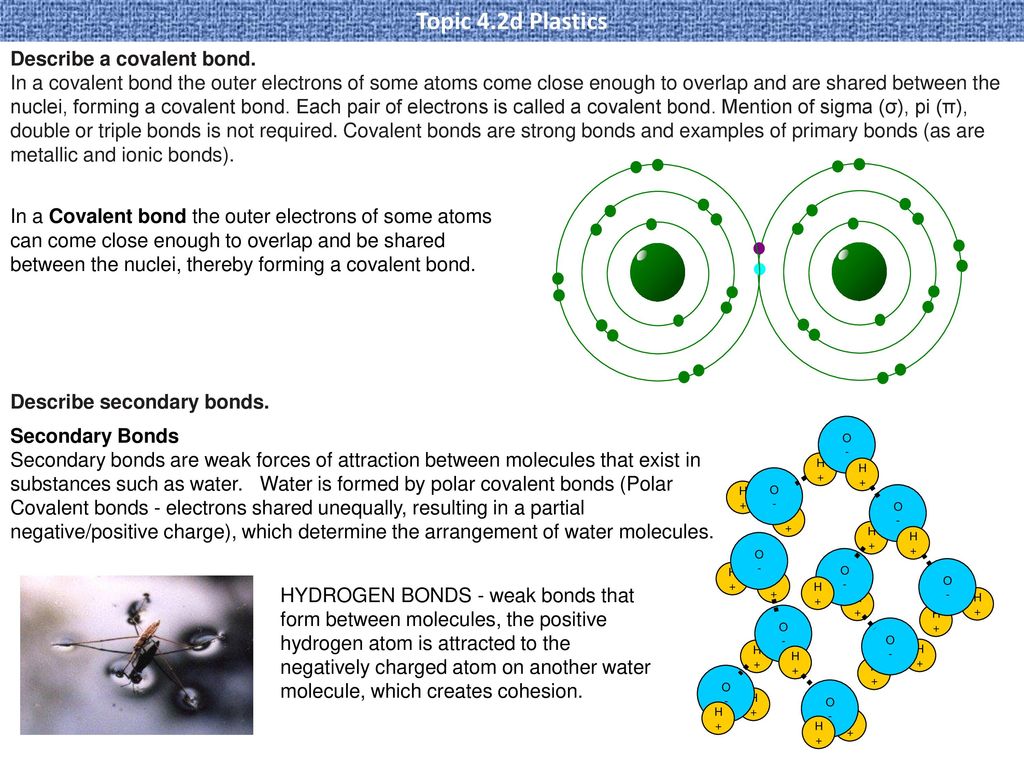 Topic 4.2d Plastics Plastics. - Ppt Download