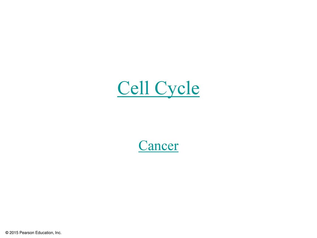 Cell Cycle Cancer