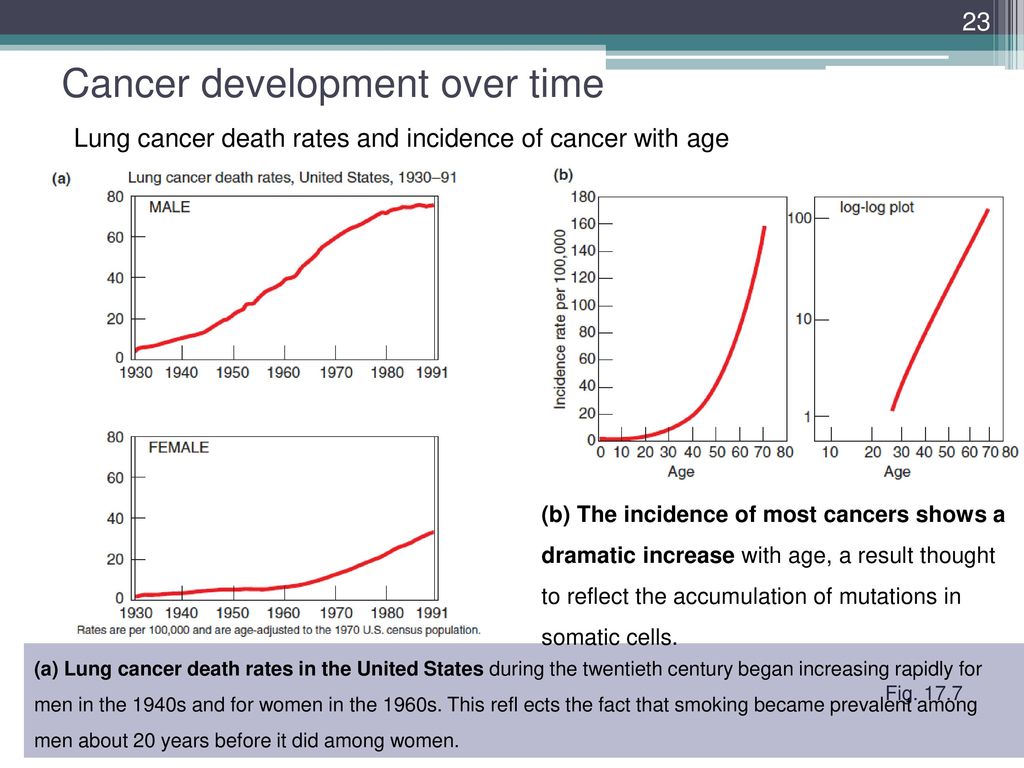 Cancer development over time