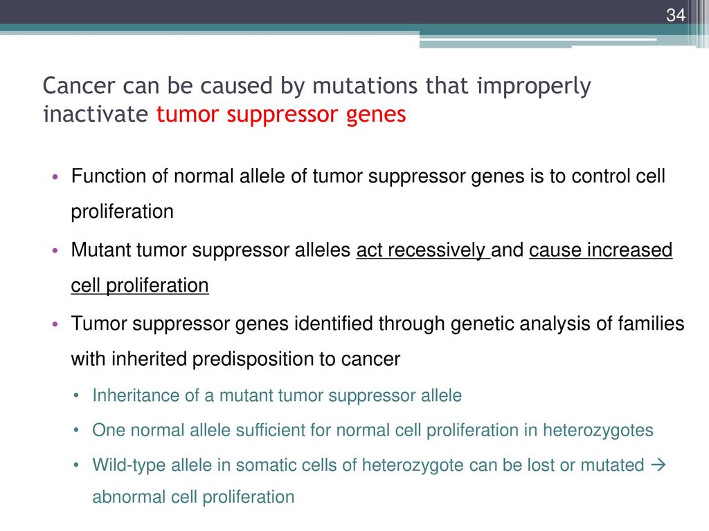 Cancer can be caused by mutations that improperly inactivate tumor suppressor genes