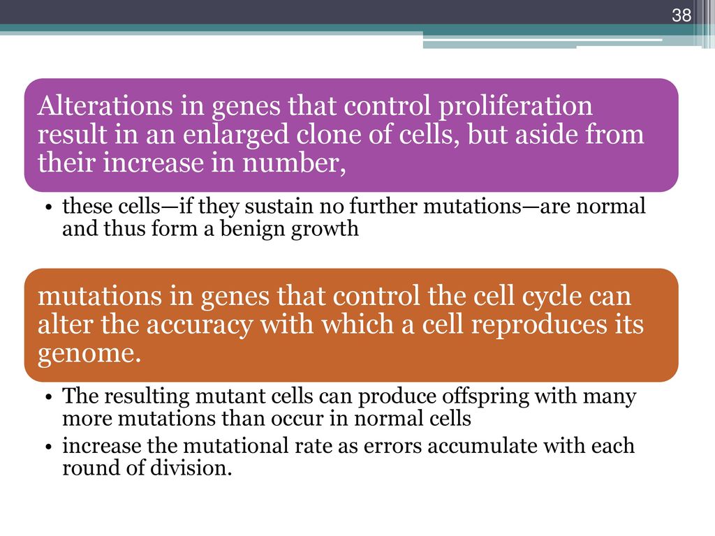 Alterations in genes that control proliferation result in an enlarged clone of cells, but aside from their increase in number,