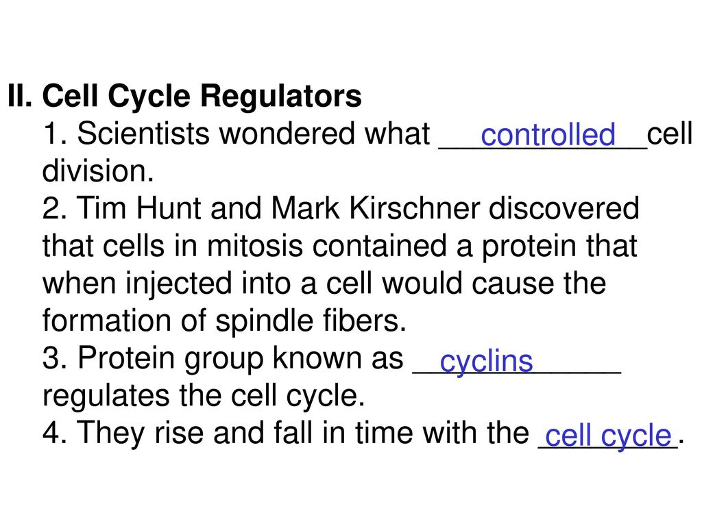 II. Cell Cycle Regulators