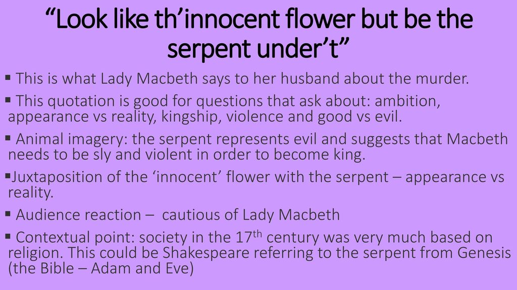 Look like th’innocent flower but be the serpent under’t