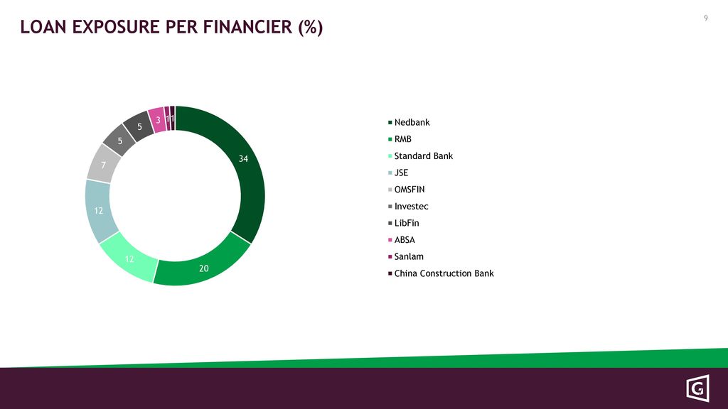 Loan exposure per financier (%)