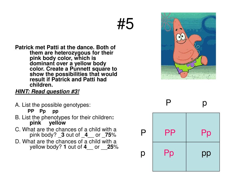 Bikini Bottom Genetics Ppt Video Online Download