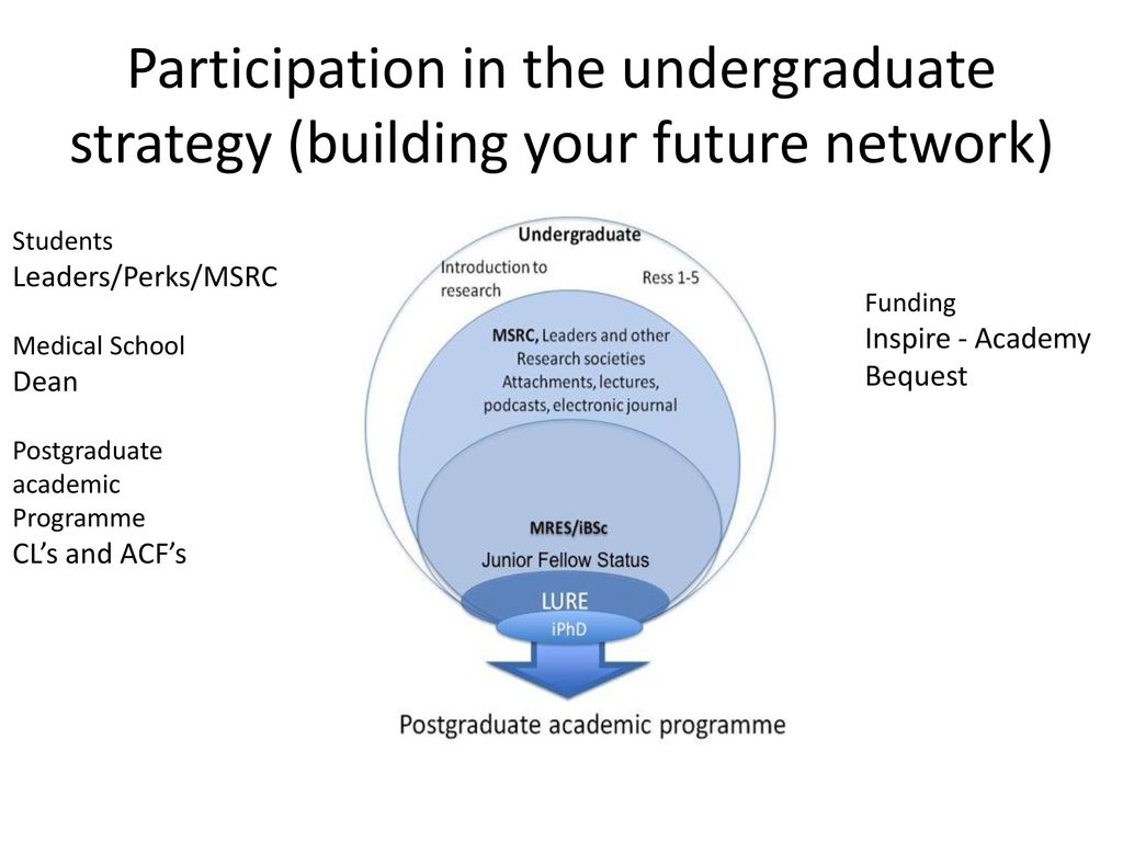 Participation in the undergraduate strategy (building your future network)