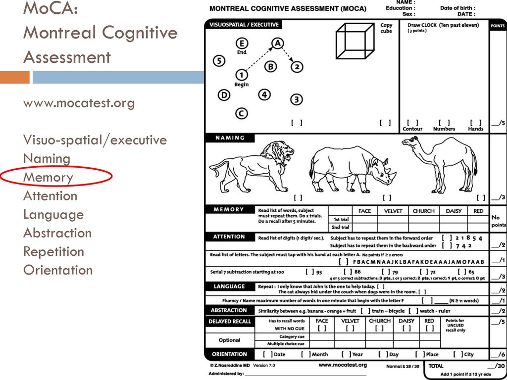 Fifth Eriksholm Workshop “Hearing Impairment & Cognitive Energy ...