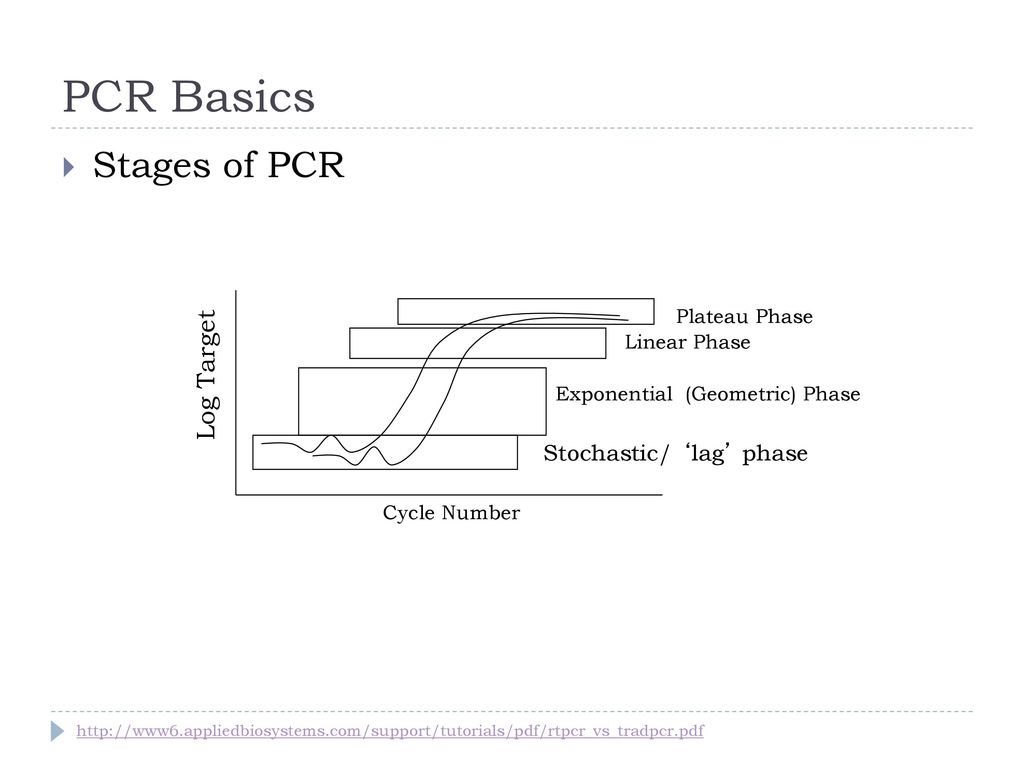 Pcr For Aquatic Animal Health Ppt Download