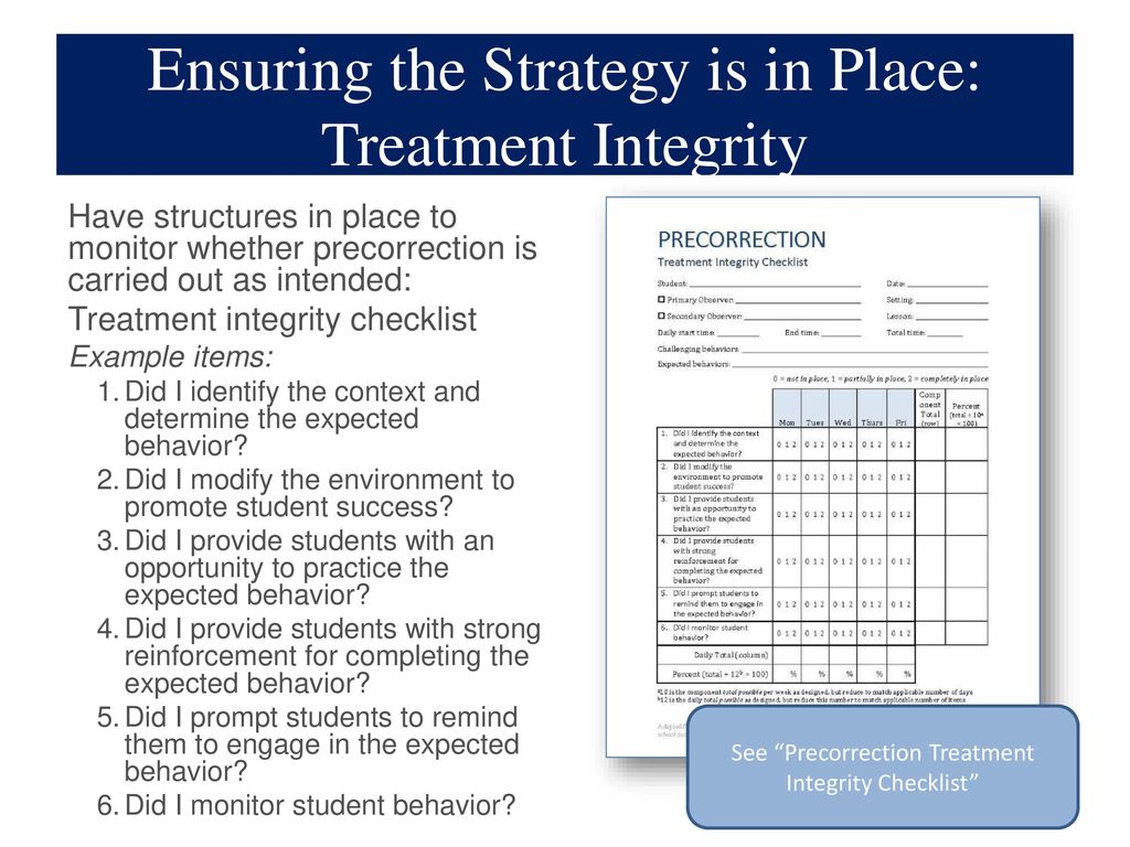 Ensuring the Strategy is in Place: Treatment Integrity