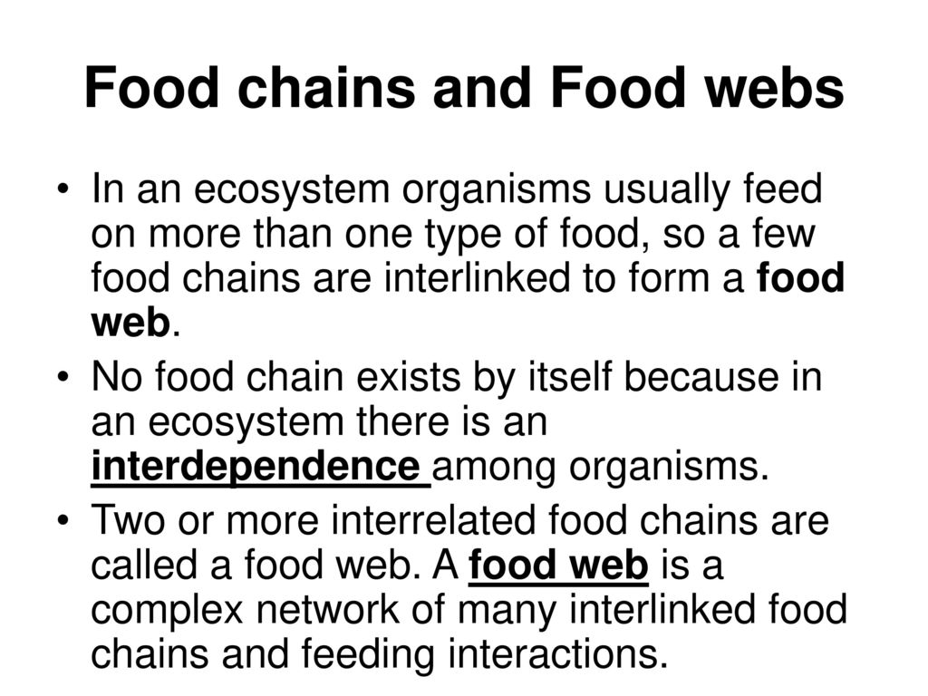 Ecology. - ppt download