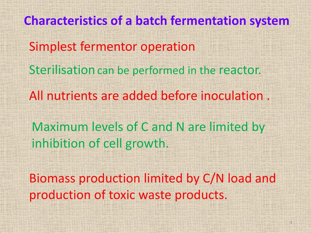 Characteristics of a batch fermentation system