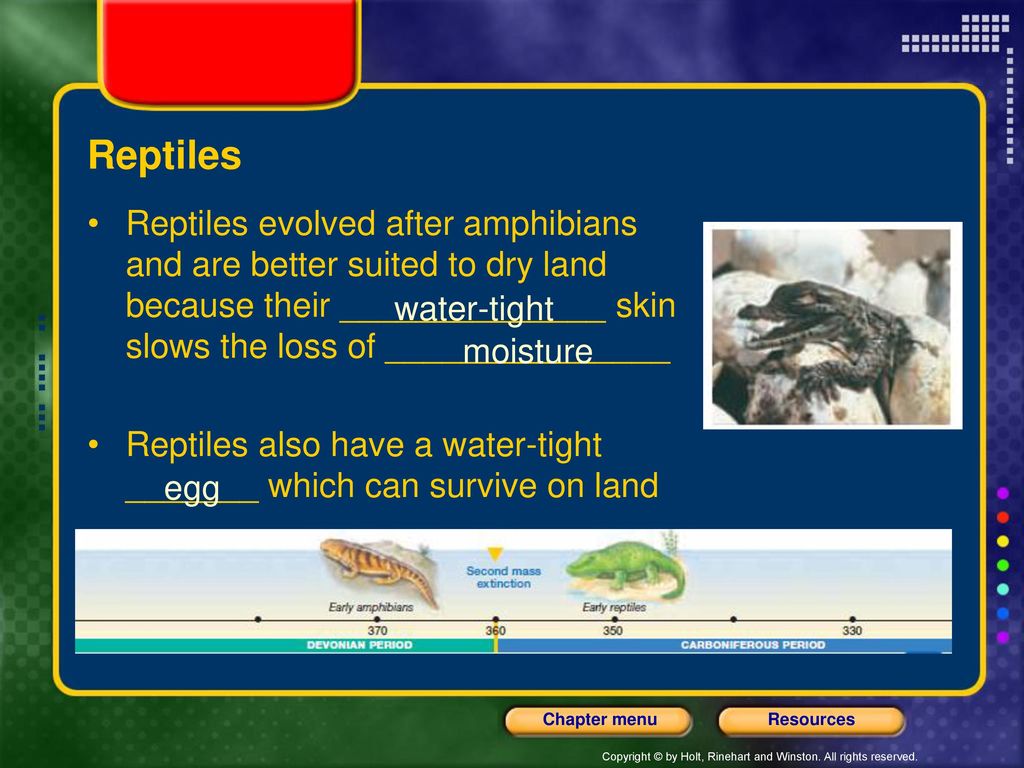 Section 2 The Evolution of Cellular Life - ppt download