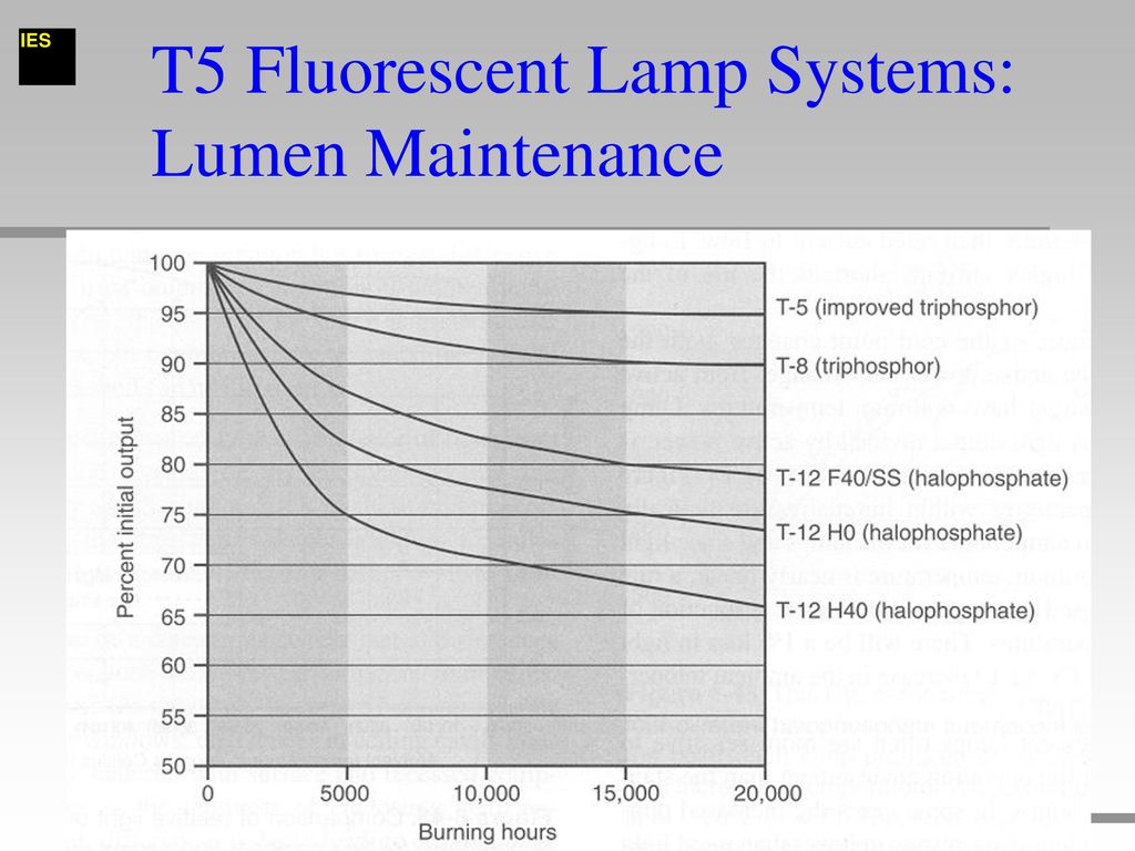 T5 Lumen Output Chart