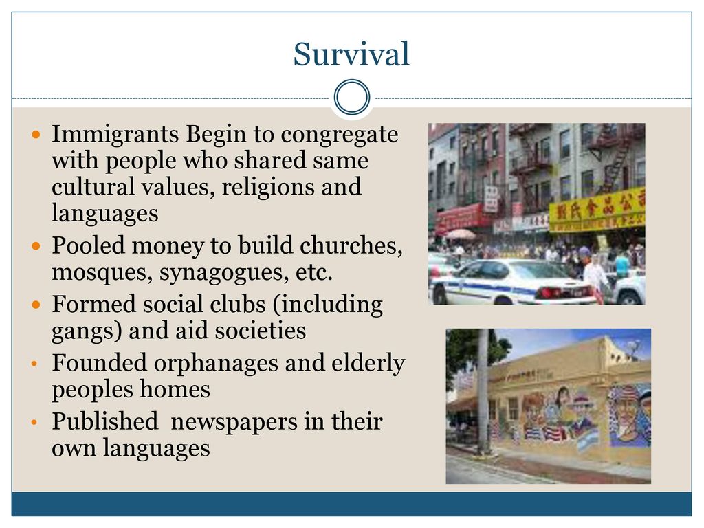 Survival Immigrants Begin to congregate with people who shared same cultural values, religions and languages.