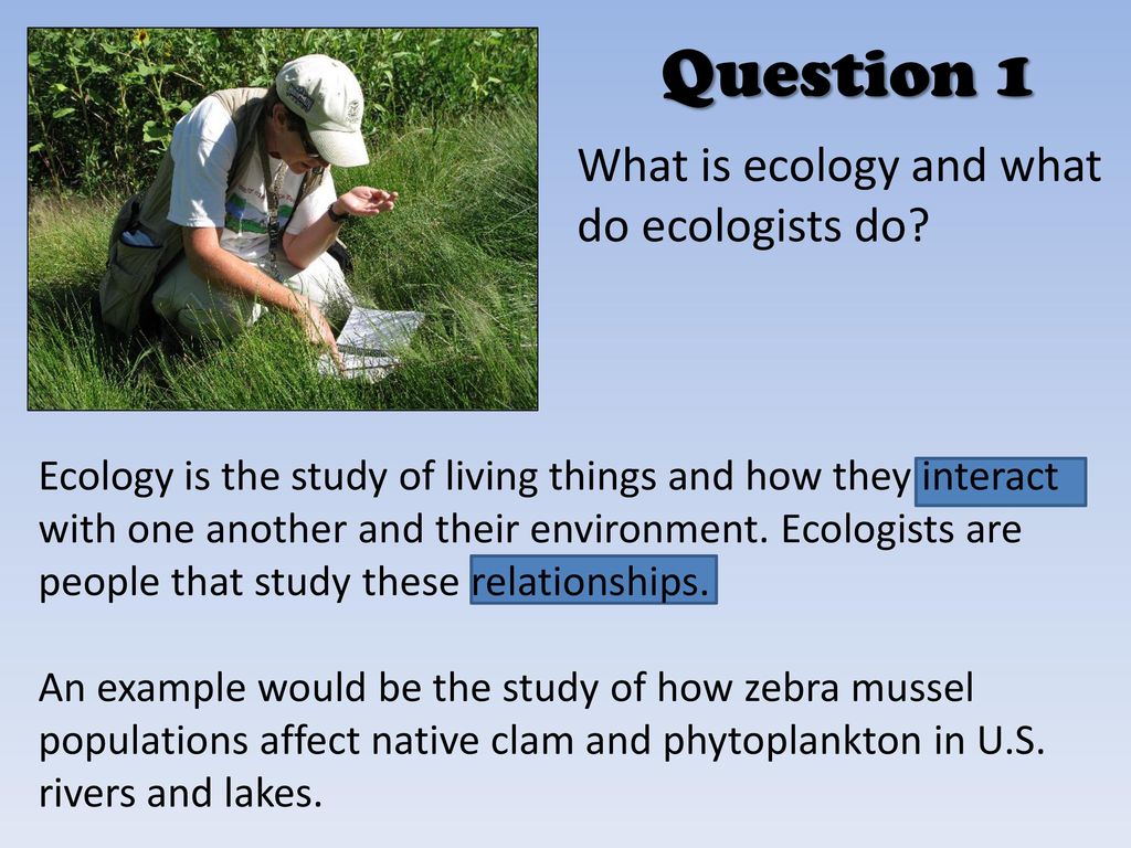Ecology Review. ppt download