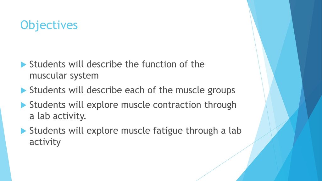 Muscular System Health Science Ppt Download
