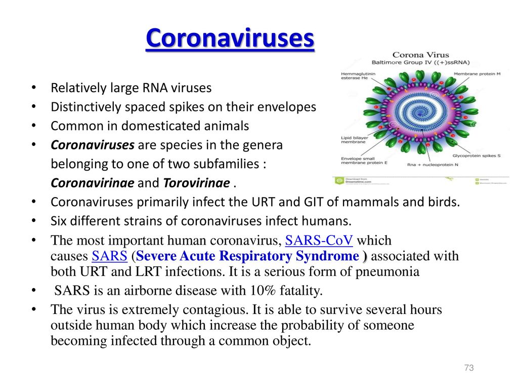 Коронавирус года появился. Коронавирус. Коронавирус название вируса. Коронавирус характеристика вируса. Призентацияк оронавирус.