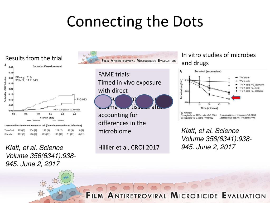 Connecting the Dots In vitro studies of microbes and drugs