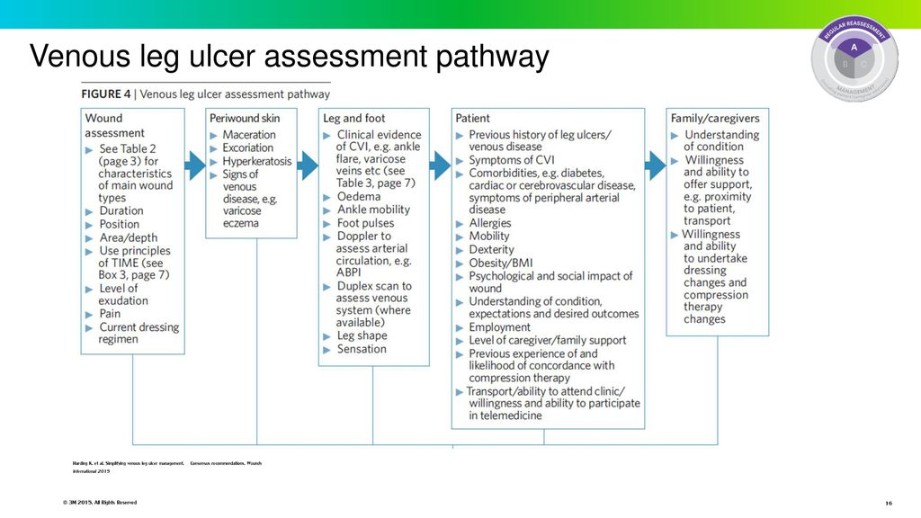 Leg Ulcer Assessment Chart