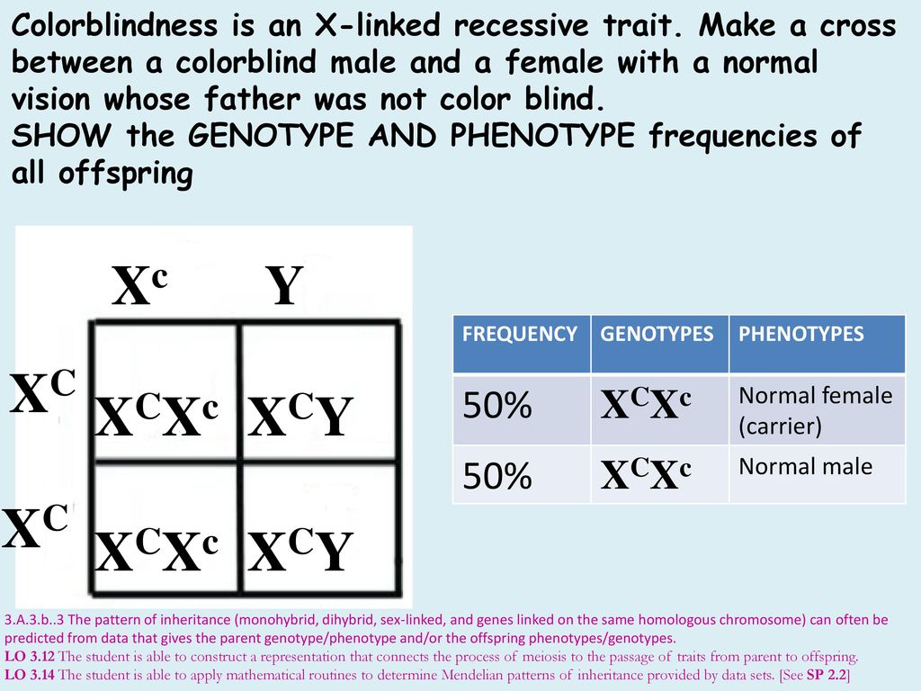 Ap Biology Genetics Review Ppt Download