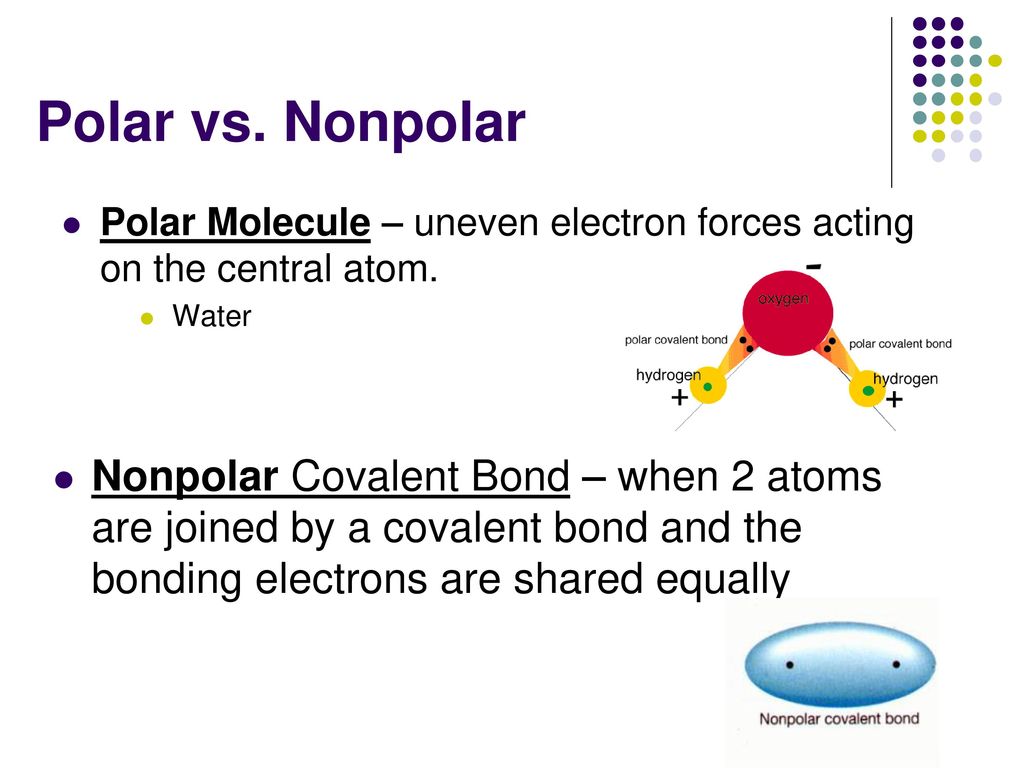 Polar vs. Nonpolar. 