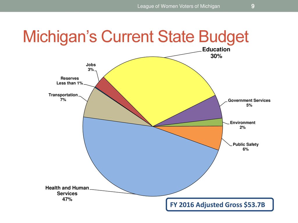 Michigan Budget Pie Chart