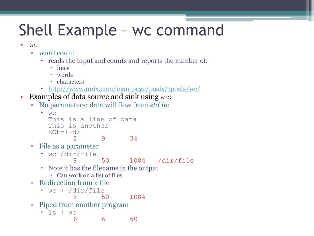 Shells. - ppt download