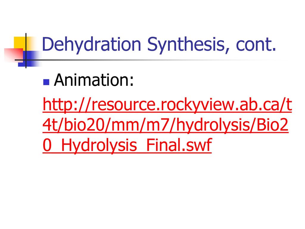 Dehydration Synthesis, cont.