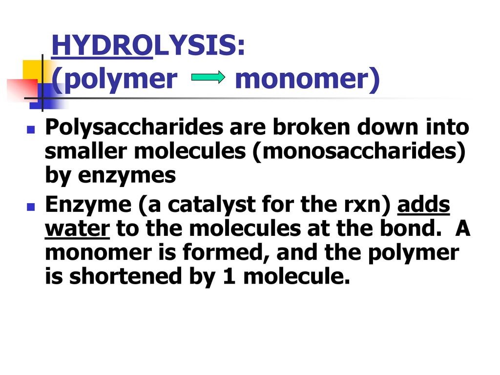 HYDROLYSIS: (polymer monomer)
