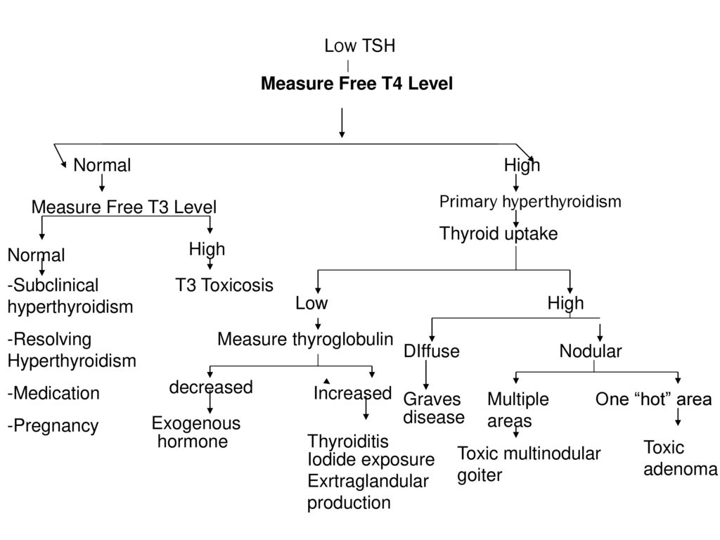 Low TSH Measure Free T4 Level Normal High Primary hyperthyroidism