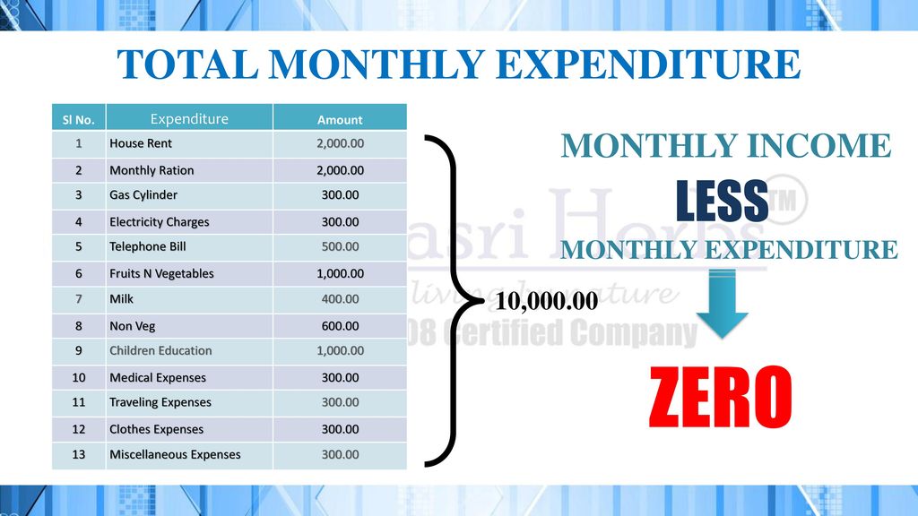 TOTAL MONTHLY EXPENDITURE
