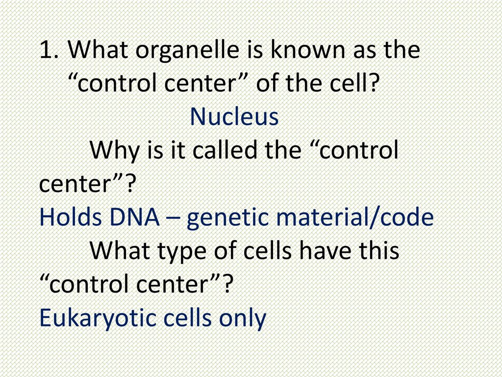 What organelle is known as the control center of the cell