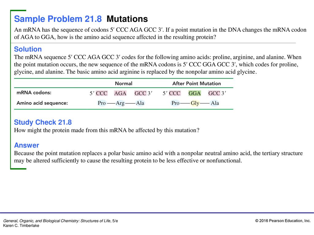 Sample Problem 23.23 Nucleotides - ppt download