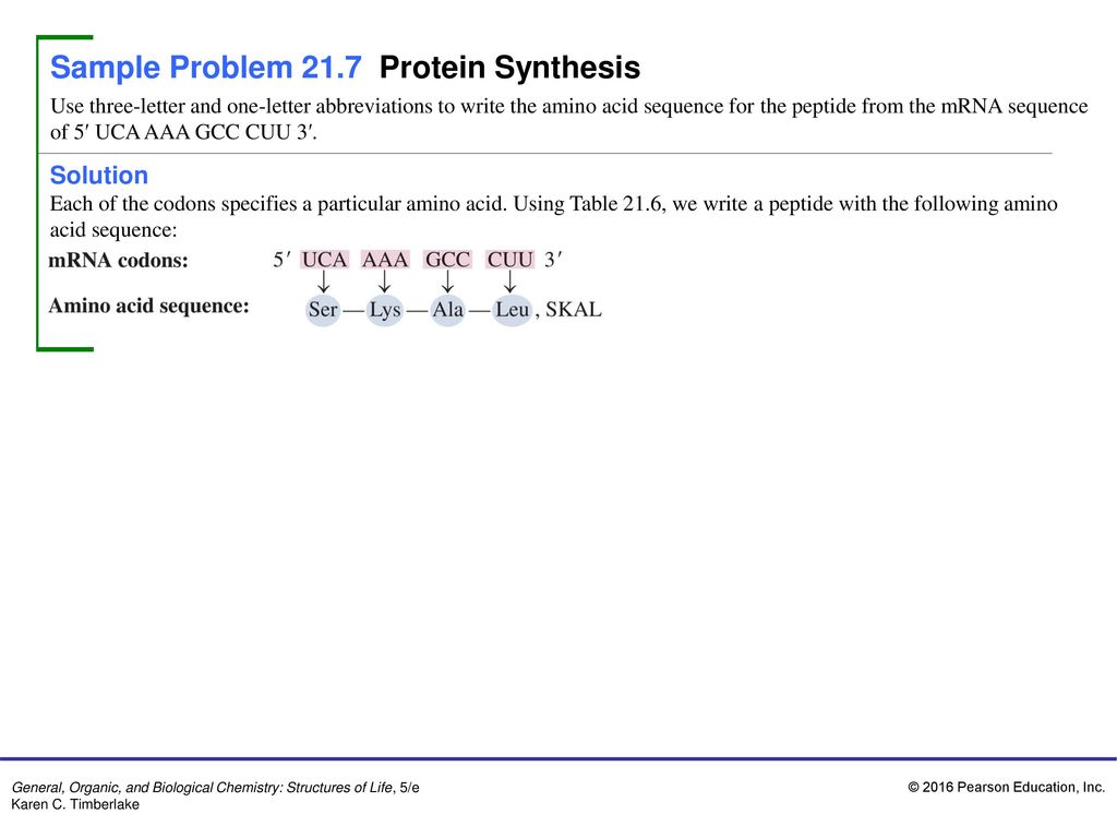 Sample Problem 28.28 Nucleotides - ppt download