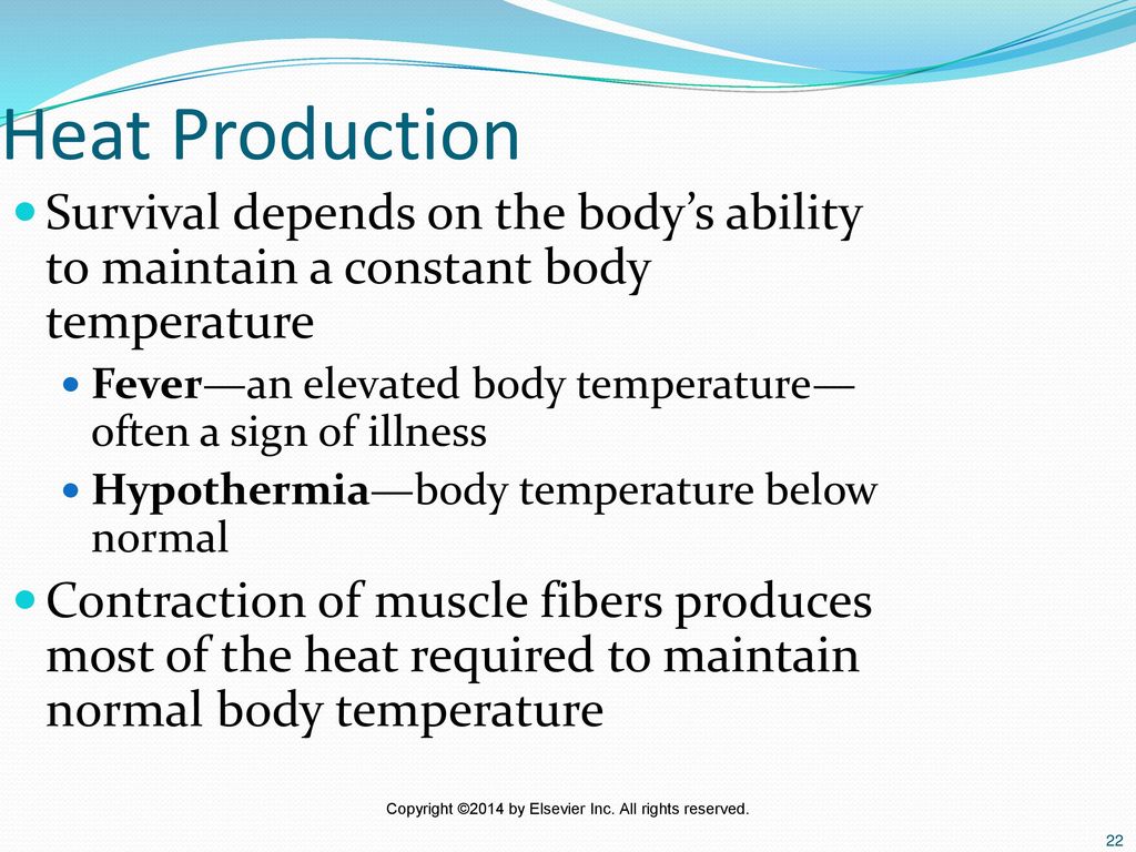 Heat Production Survival depends on the body’s ability to maintain a constant body temperature.