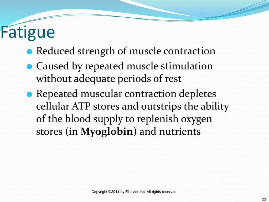 Fatigue Reduced strength of muscle contraction