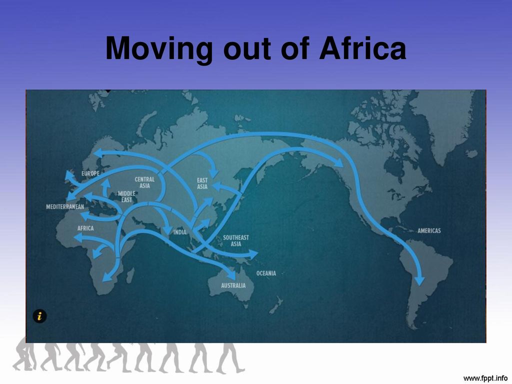 Moving out of Africa