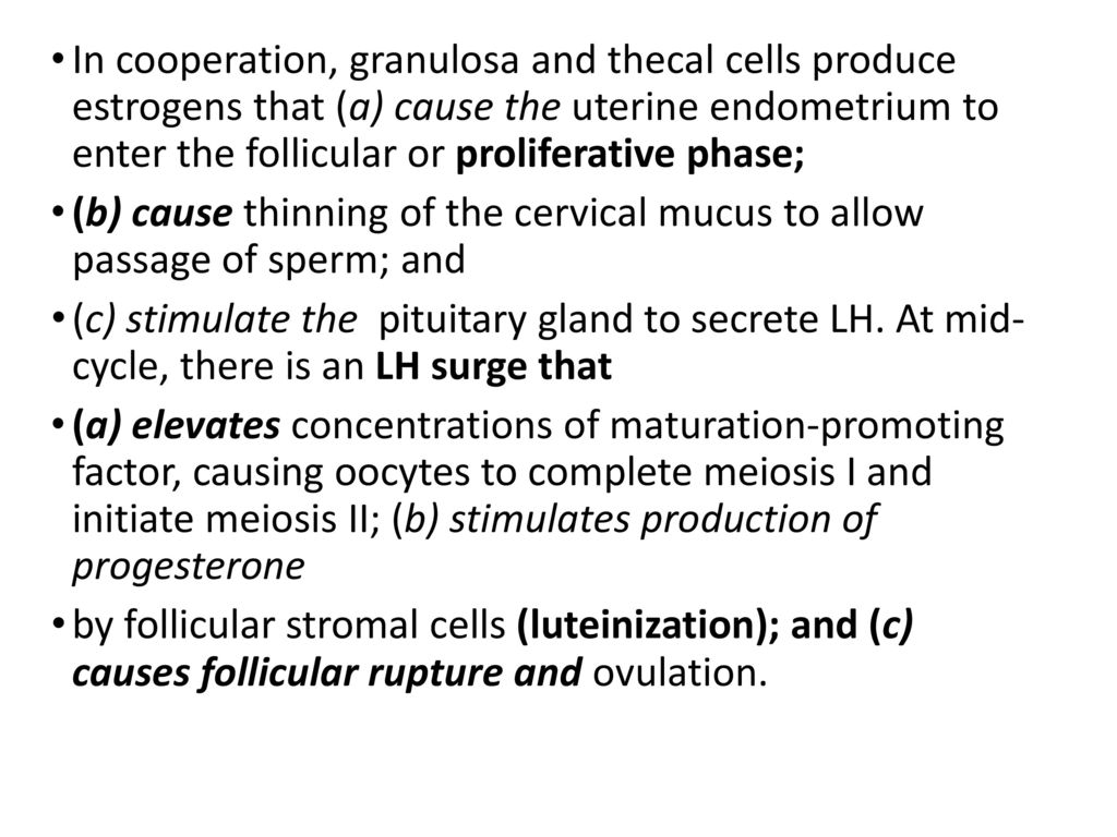 In cooperation, granulosa and thecal cells produce estrogens that (a) cause the uterine endometrium to enter the follicular or proliferative phase;