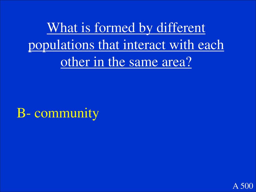 What is formed by different populations that interact with each other in the same area