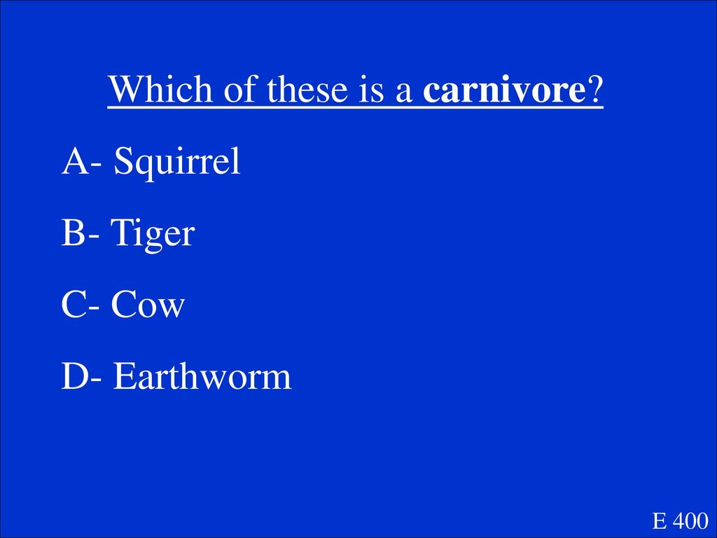 Which of these is a carnivore