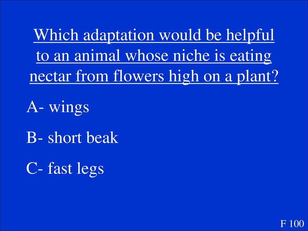 Which adaptation would be helpful to an animal whose niche is eating nectar from flowers high on a plant