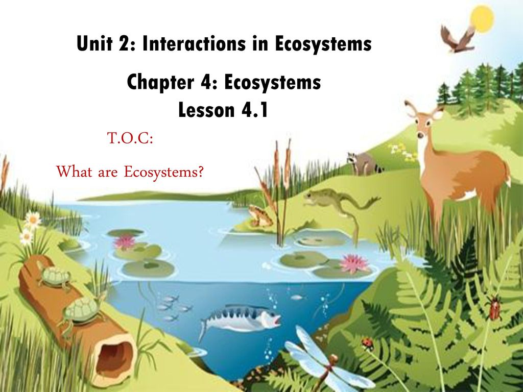 Unit 2: Interactions in Ecosystems