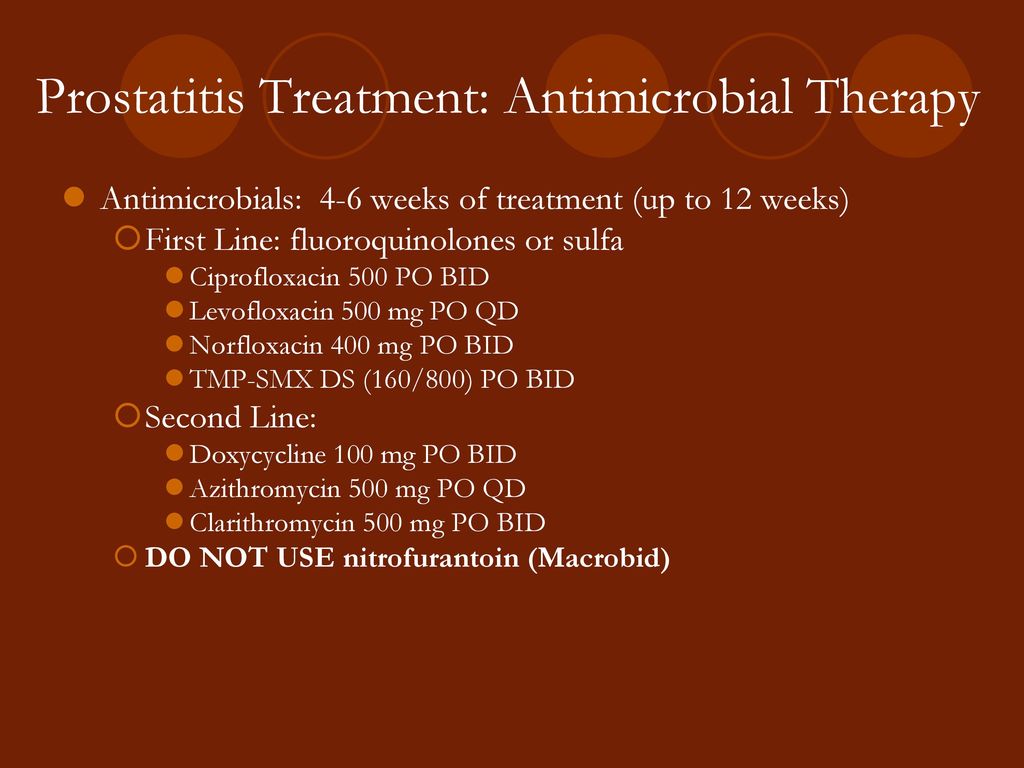 clarithromycin prostatitis