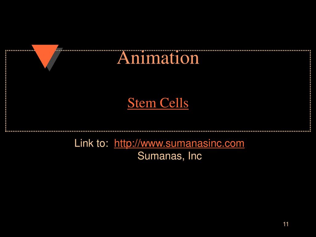 Stem Cells. - ppt download