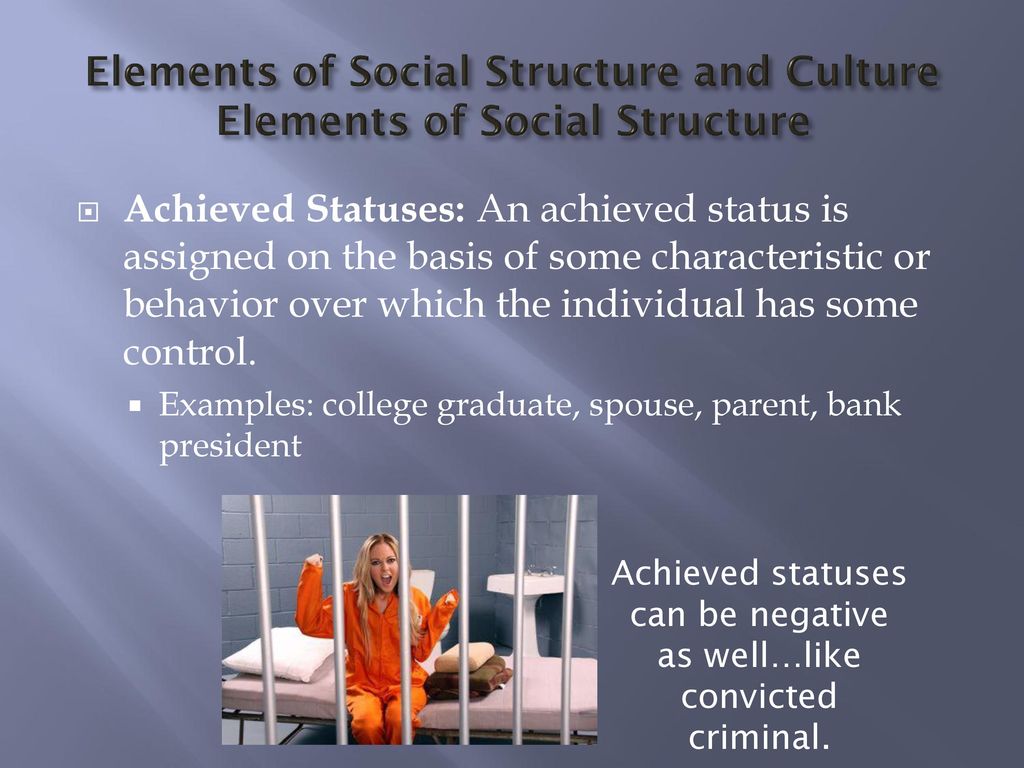 Elements of Social Structure and Culture Elements of Social Structure